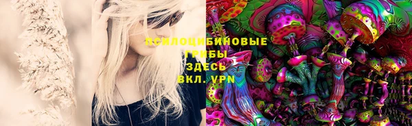 ALPHA PVP Арсеньев